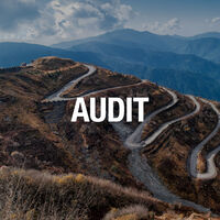 China Consulting - Auditing