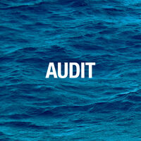 Auditing