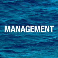 Management Consulting