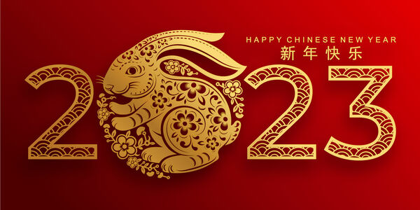 Year of the Rabbit